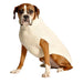 NATURAL CABLE WOOL DOG SWEATER - Bones Bizzness