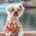 SUNSET HIBISCUS HAWAIIAN CAMP DOG SHIRT, Shirts Tanks & Tees - Bones Bizzness