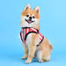 ZORION PUPPIA DOG HARNESS B - NAVY