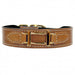 HAMILTON COLLECTION DOG LEAD IN NATURAL & GOLD, Leash - Bones Bizzness