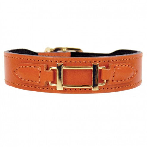 HAMILTON COLLECTION IN TANGERINE & GOLD DOG COLLAR, Collars - Bones Bizzness