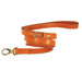 HAMILTON COLLECTION DOG LEAD IN TANGERINE & GOLD, Leash - Bones Bizzness