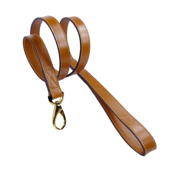 HAMILTON COLLECTION DOG LEAD IN NATURAL & GOLD, Leash - Bones Bizzness