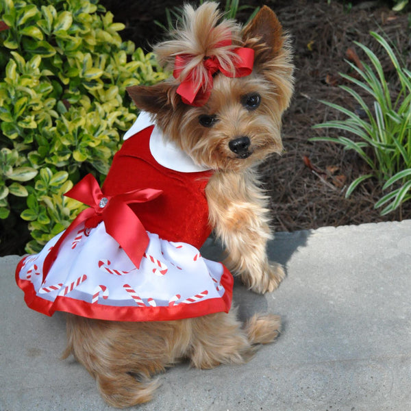 HOLIDAY DOG HARNESS DRESS - CANDY CANES, Dress - Bones Bizzness