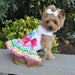 ICE CREAM CART DOG DRESS WITH MATCHING LEASH, Dress - Bones Bizzness