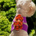 WENDY TINKIES HARNESS BY SUSAN LANCI, Harness - Bones Bizzness