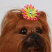 ISLAND SEA FLOWER DOG HAIR BOWS, HAIR BOW - Bones Bizzness