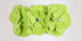 SUSAN LANCI TINKIES GARDEN DOG COLLAR- (42 COLORS), Collars - Bones Bizzness