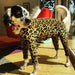 STRETCH FLEECE ONESIE DOG FLEECE - LEOPARD