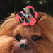 SARAH DOG COLLAR BY SUSAN LANCI 1/2", Collars - Bones Bizzness