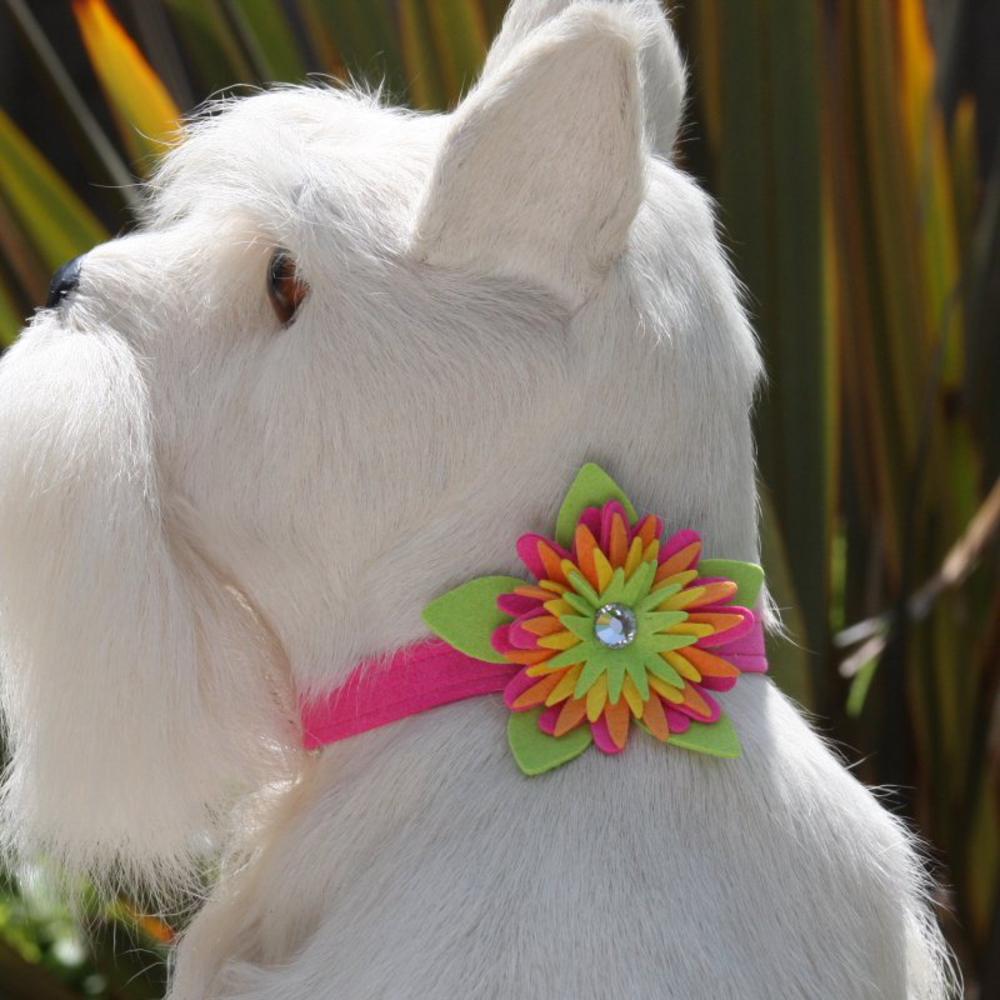 ISLAND FLOWER CRYSTAL DOG COLLAR 1/2" - PERFECT PINK, Collars - Bones Bizzness