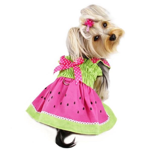 JUICY WATERMELON DOG DRESS W/ D RING, DRESS - Bones Bizzness