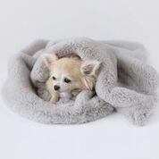 HELLO DOGGIE DIVINE BLANKET (3 COLORS)