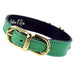 LEAP FROG IN KELLY GREEN DOG COLLAR