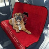 SOUTH CAROLINA CAR SEAT COVER, NCAA - Bones Bizzness