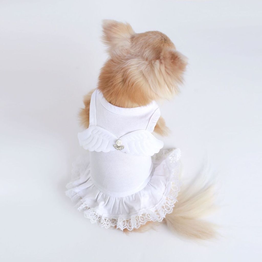 HELLO DOGGIE LIL' ANGEL DRESS, Dress - Bones Bizzness