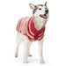 MARL RED STRIPES DOG SWEATER, Sweaters - Bones Bizzness