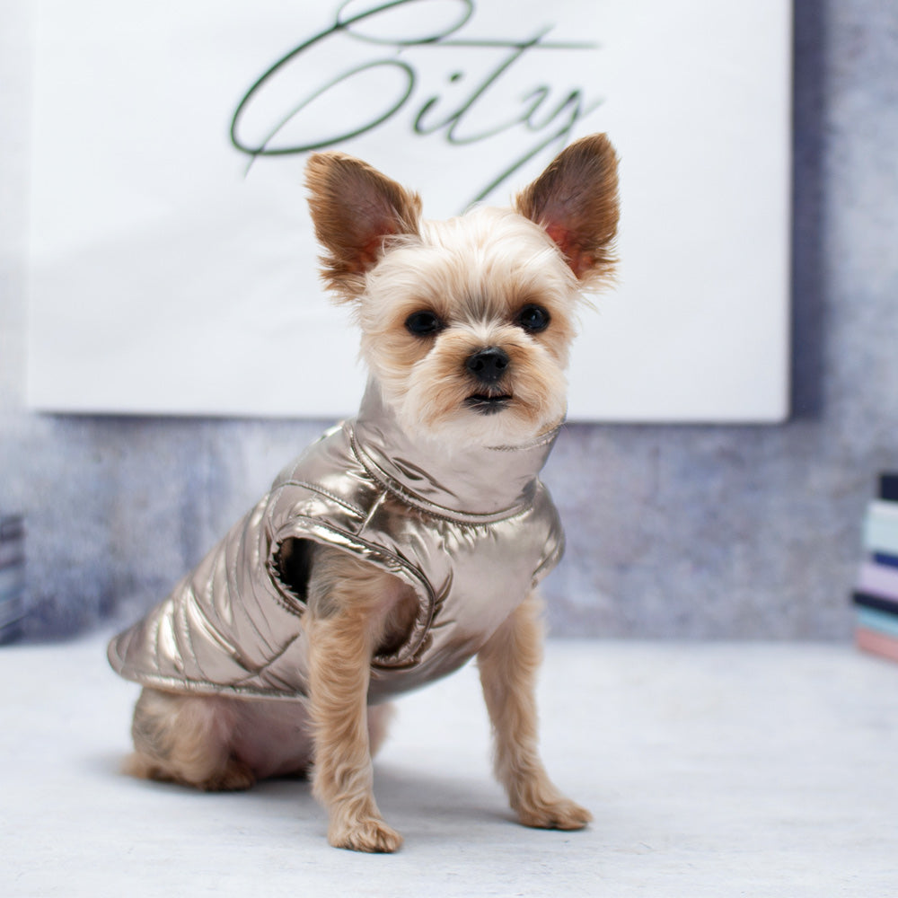 METALLIC RUNNER COAT