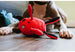 MOMO'S MONSTER PLUSH DOG TOY COLLECTION, Toys - Bones Bizzness