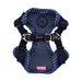 NIKI PINKA PUPPIA  HARNESS C - BLUE, Harness - Bones Bizzness