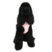 CARA PUPPIA DOG HARNESS - PINK, Harness - Bones Bizzness