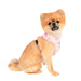 ABBY PUPPIA DOG HARNESS - PINK, Harness - Bones Bizzness