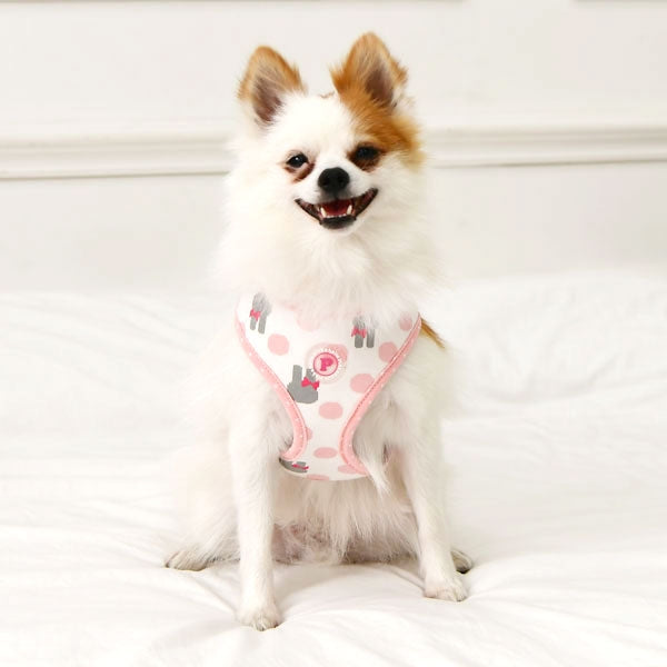 ABBY PUPPIA DOG HARNESS - IVORY, Harness - Bones Bizzness