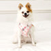 ABBY PUPPIA DOG HARNESS - PINK, Harness - Bones Bizzness