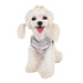 CARA PUPPIA HARNESS C, Harness - Bones Bizzness