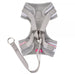 CARA PUPPIA HARNESS C, Harness - Bones Bizzness