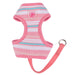 CARA PUPPIA HARNESS C, Harness - Bones Bizzness