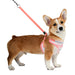 CARA PUPPIA HARNESS C, Harness - Bones Bizzness