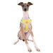 LALO DOG HARNESS C - PINK, Harness - Bones Bizzness