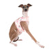 ABBY PINKA DOG HARNESS, Harness - Bones Bizzness