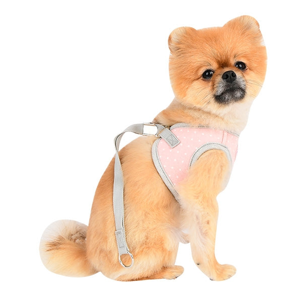 LALO DOG HARNESS Q - PINK, Harness - Bones Bizzness