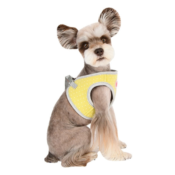 LALO DOG HARNESS Q - LIME, Harness - Bones Bizzness