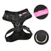 URSA HARNESS - INDIAN PINK / BLACK