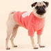 JANELLE DOG SHIRT - CORAL / CREAM