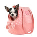 PALOMA DOG CARRIER - INDIAN PINK / MINT