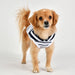 CORDELLA DOG SHIRT - NAVY/WHITE