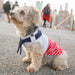 NAUTICAL STRIPPED DOG TANK, Shirts Tanks & Tees - Bones Bizzness