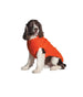 ORANGE CABLE KNIT DOG SWEATER