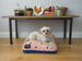 RHOMBUS DOG BED – CREAMSICLE, Beds - Bones Bizzness