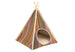 HORIZON PET TEEPEE - LAKE, Beds - Bones Bizzness