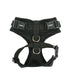 RITEFIT HARNESS BY PUPPIA, Harness - Bones Bizzness