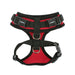 RITEFIT HARNESS BY PUPPIA, Harness - Bones Bizzness