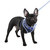 VIVIEN PUPPIA  DOG HARNESS A, Harness - Bones Bizzness