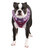 VIVIEN PUPPIA  DOG HARNESS A, Harness - Bones Bizzness