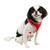 VIVIEN PUPPIA  DOG HARNESS A, Harness - Bones Bizzness