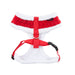 BLITZEN PUPPIA DOG HARNESS A, Harness - Bones Bizzness